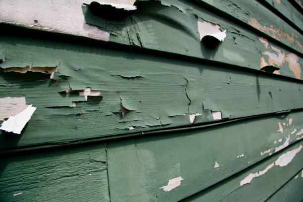 Best Demolition Debris Removal  in Pembroke, NC